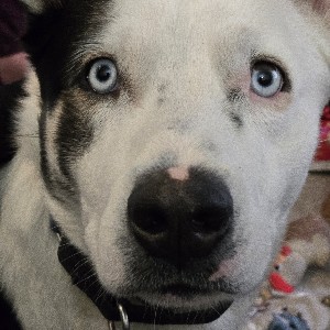 Kent Park Maintenance