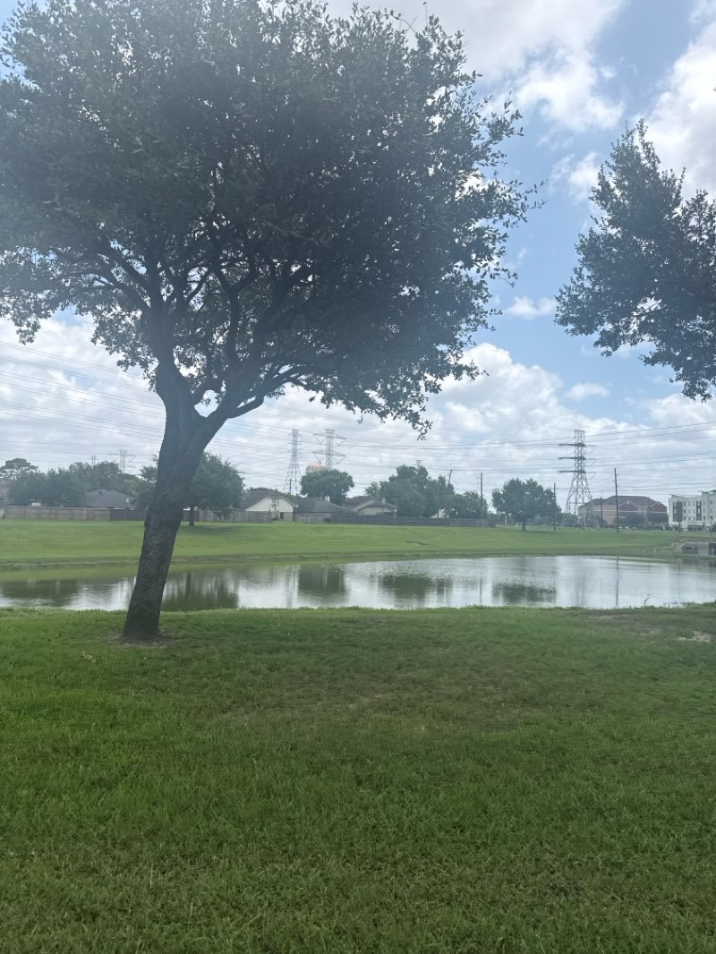 walking near me in Gordon Fountain Lake Park in summer
