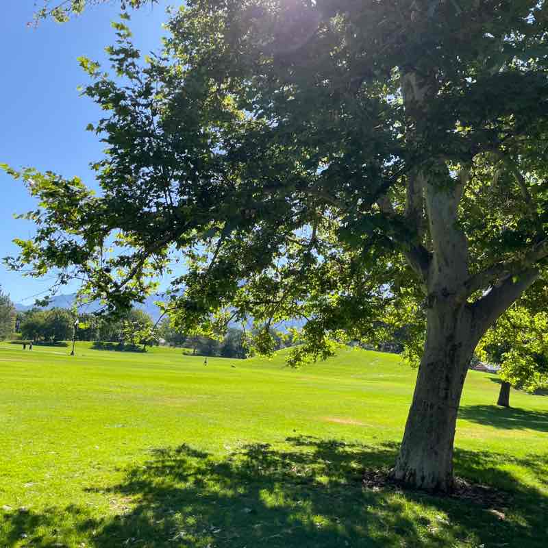 Sharon Davidson post 2