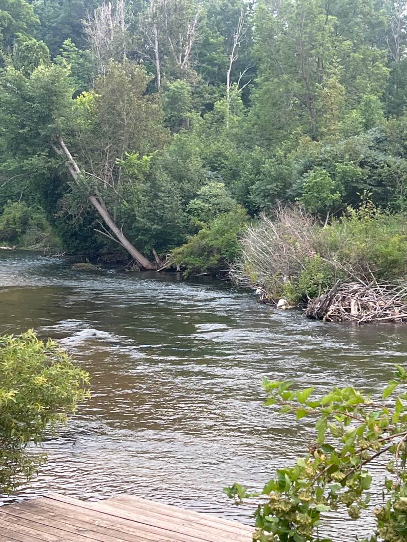 walking near me in Beitner Park in autumn