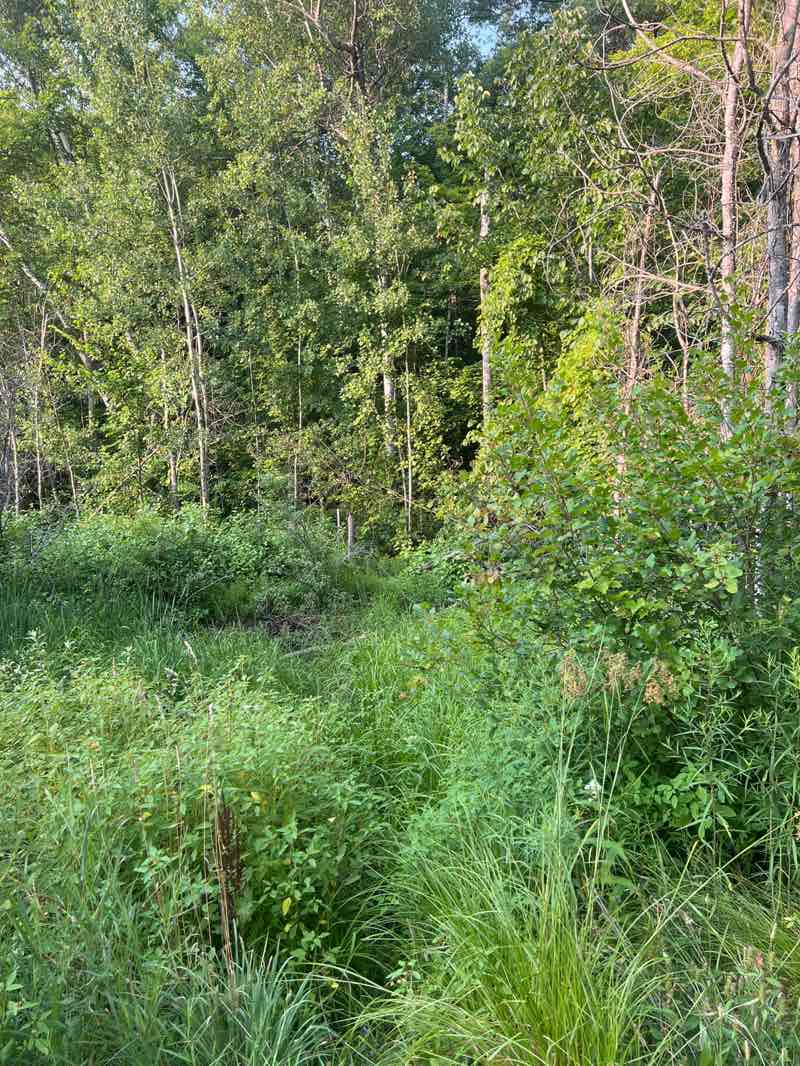 walking near me in Twin Lakes Park in autumn