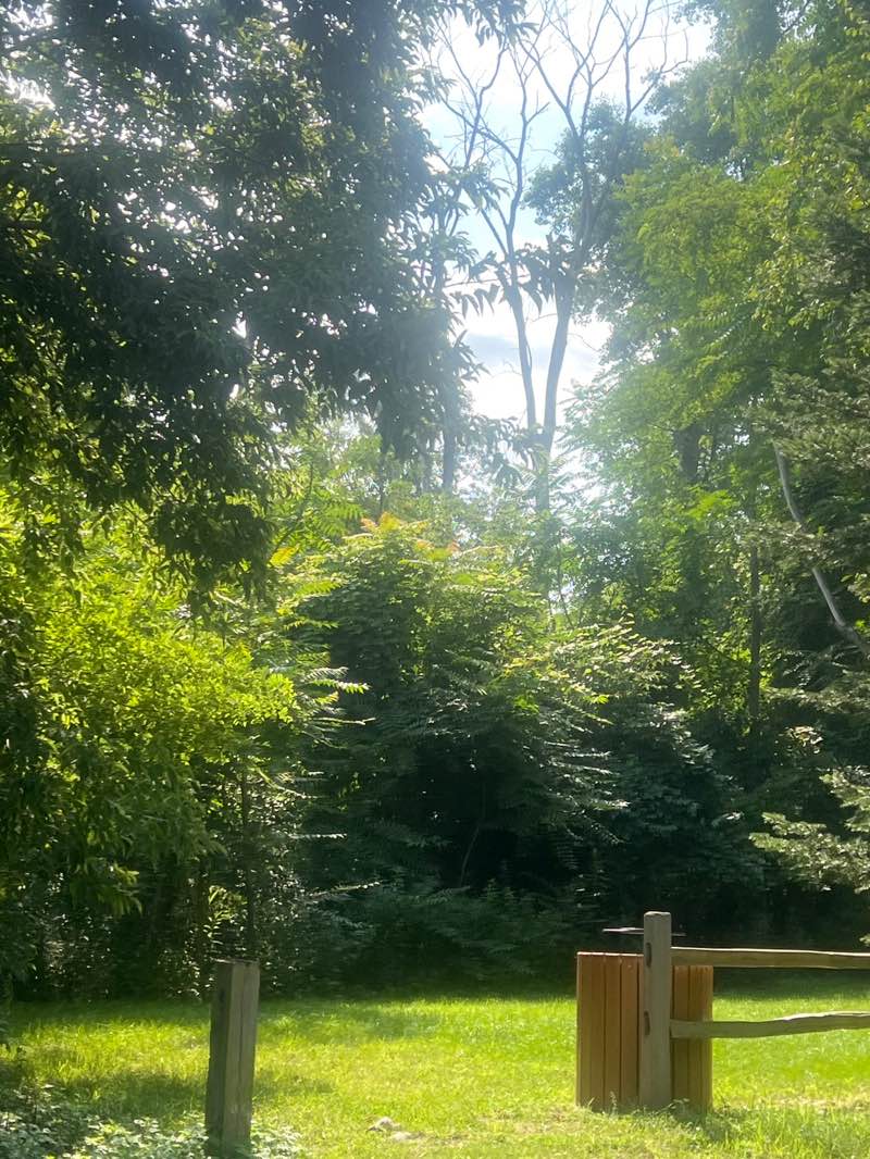 walking near me in Fulton Park in autumn