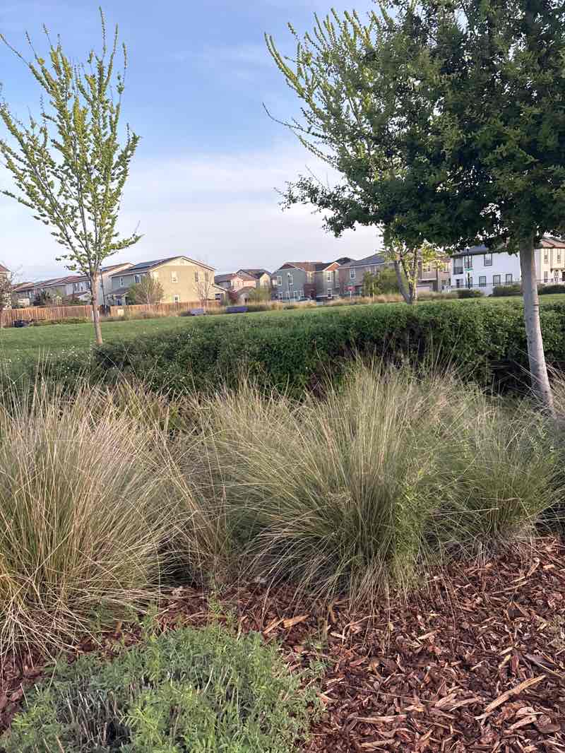 walking near me in Nela Luken Park in spring