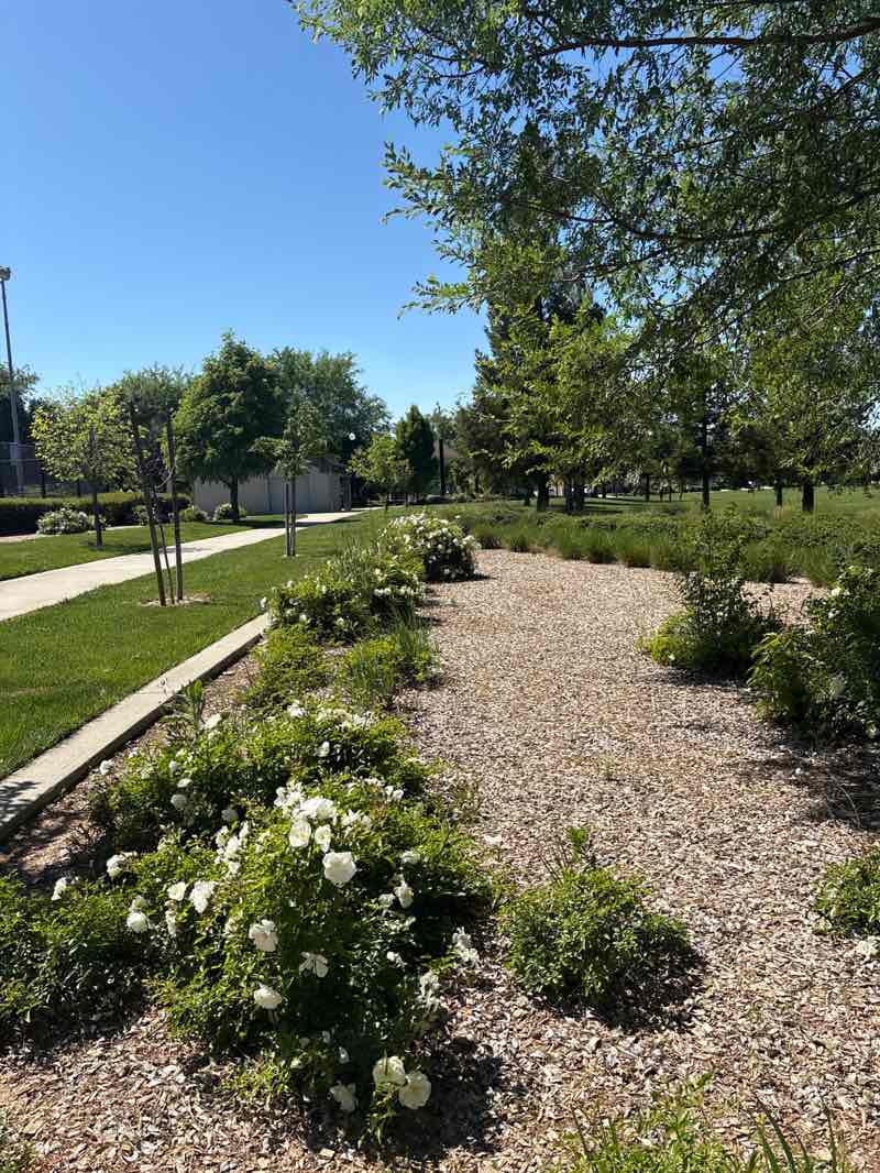 walking near me in Robert P. "Bob" Mahan Park in spring