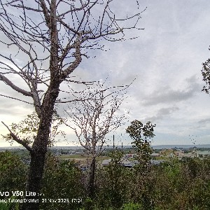 🇧🇳🇵🇸🌺 ANNEY 🌺🇵🇸🇧🇳 profile