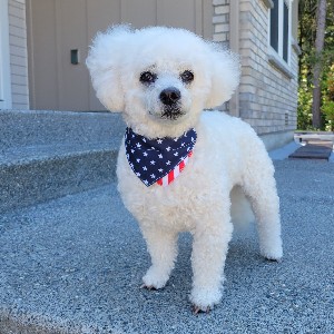 Pierre B profile