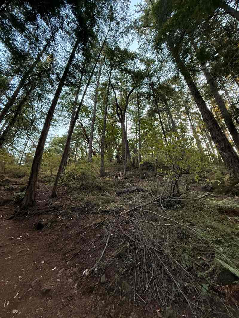 walking near me in Mill Hill Regional Park in autumn