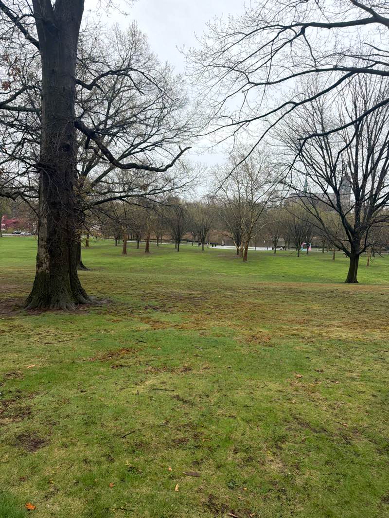 walking near me in Branch Brook Park in spring