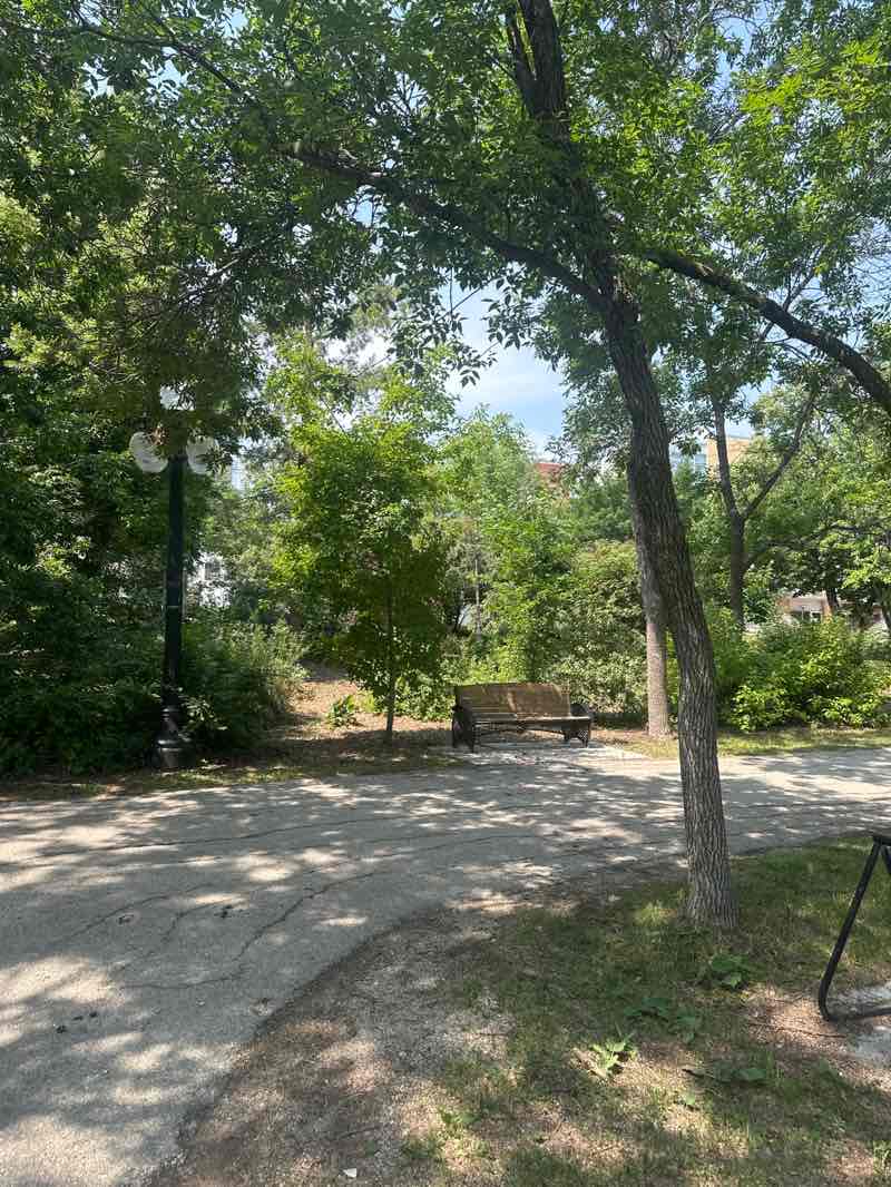 walking near me in Stephen Juba Park in summer