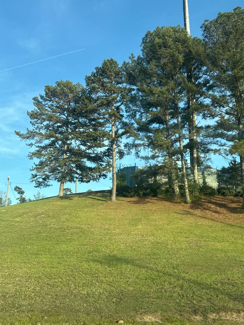 walking near me in Standifer Gap Recreation Center in spring