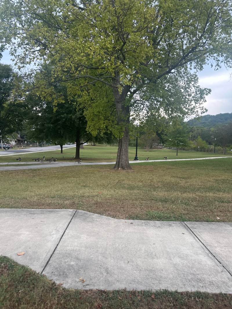walking near me in East Lake Park in autumn