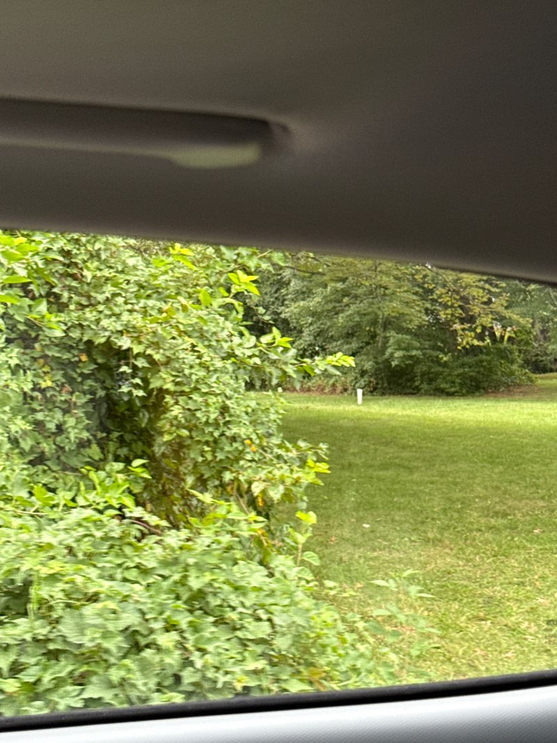 walking near me in Merrilee Park in autumn