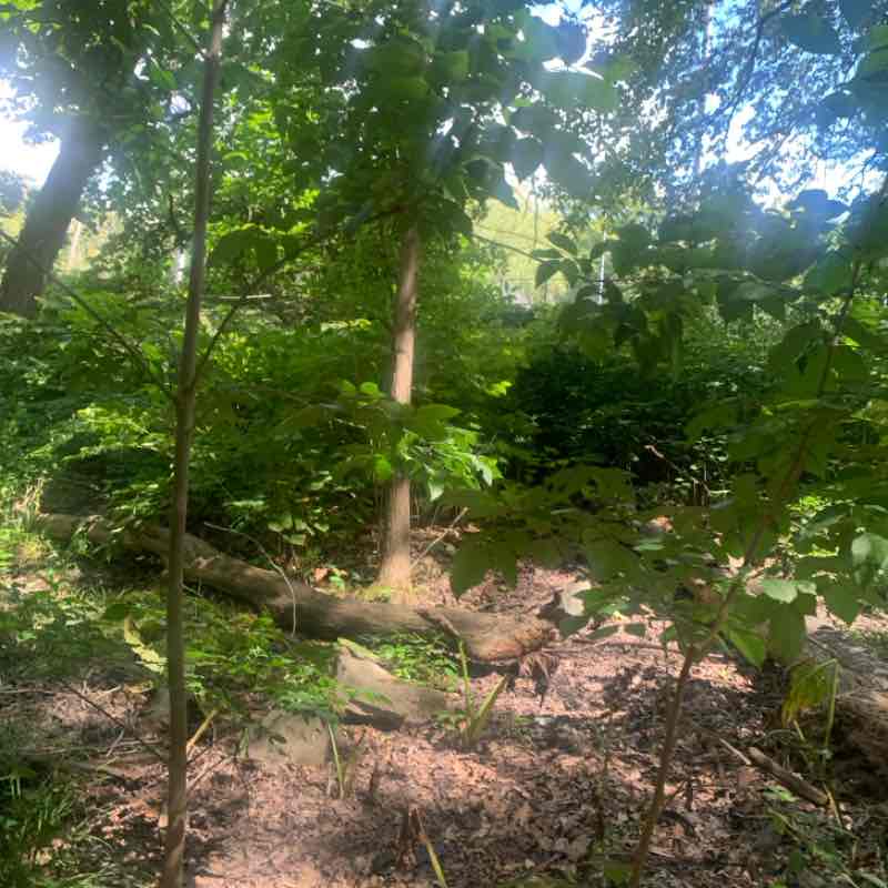 Tywainharris23_ post 1