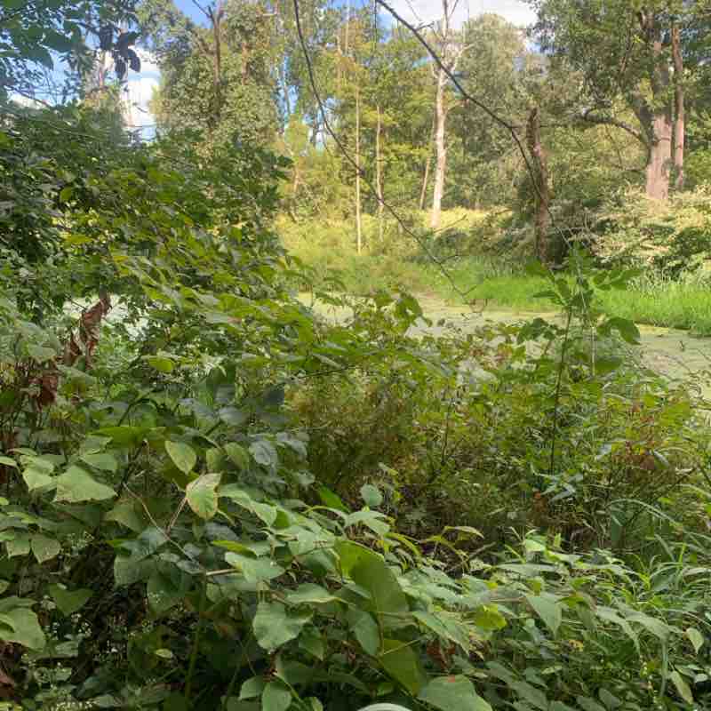 Tywainharris23_ post 1