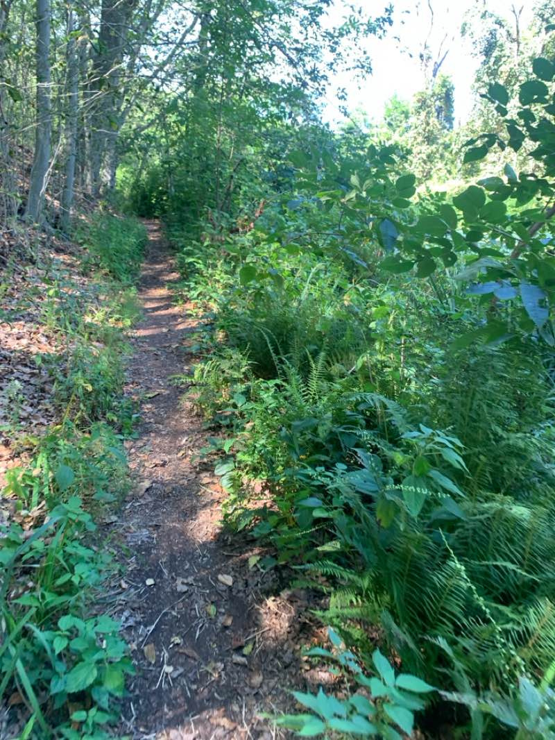 walking near me in Edgewood Park in autumn