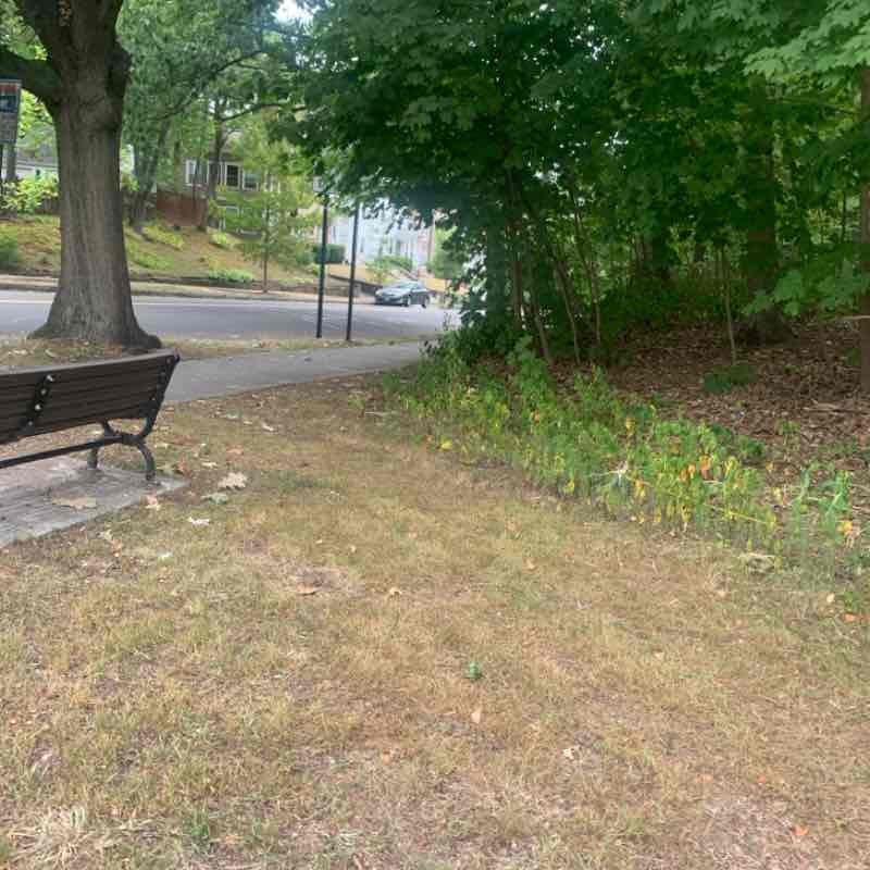 Tywainharris23_ post 1