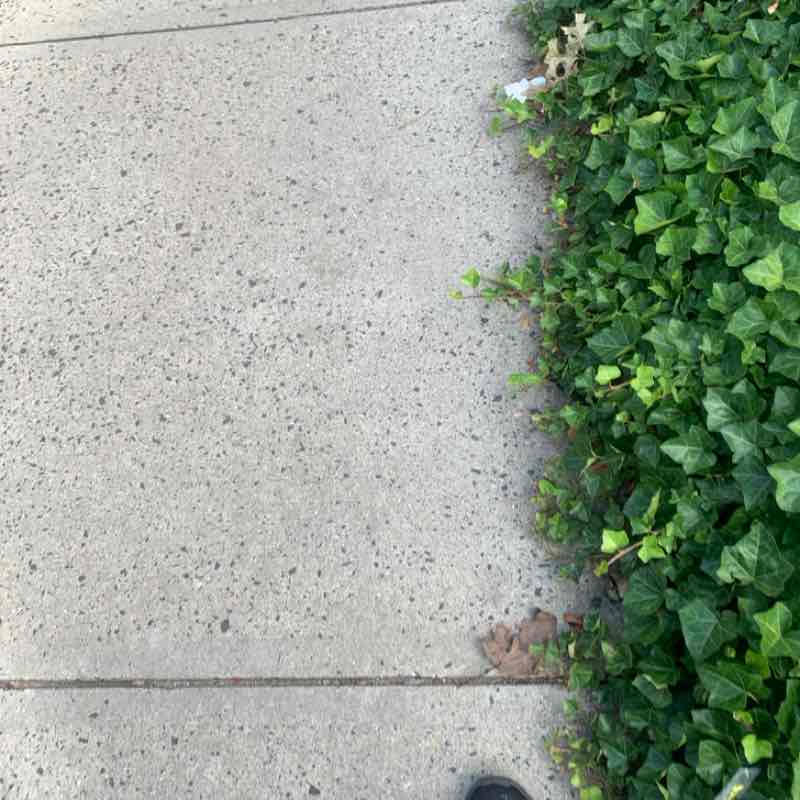 Tywainharris23_ post 1