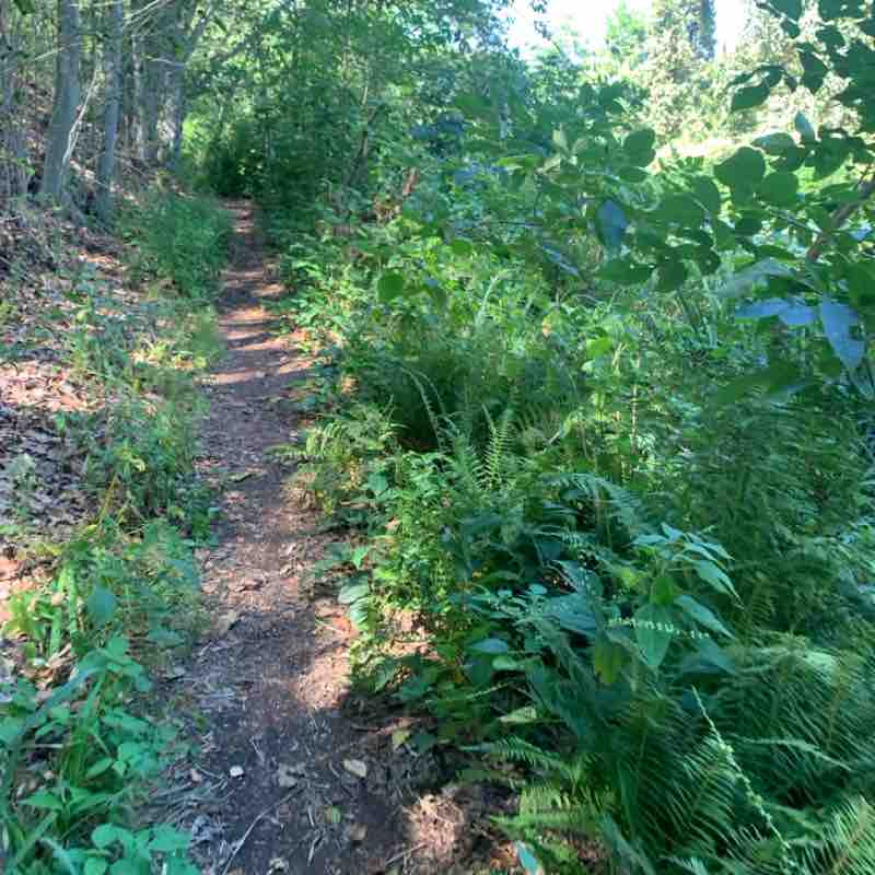 Tywainharris23_ post 1