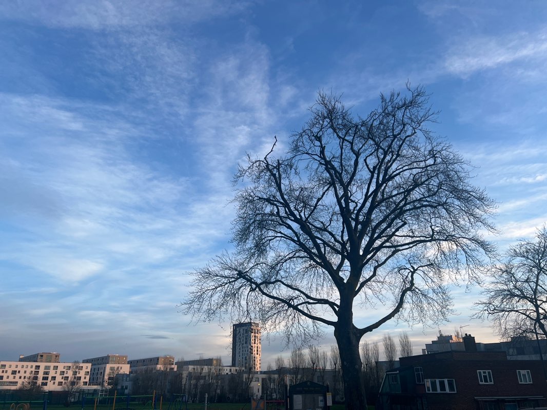 walking near me in Grove Park in spring