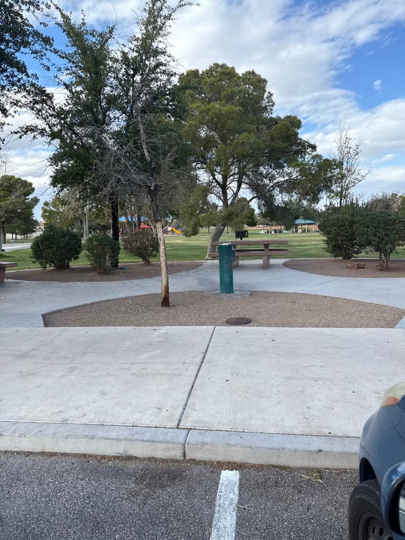 walking near me in Desert Bloom Park in autumn