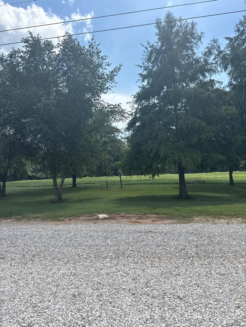 walking near me in Phil Moore Park in autumn