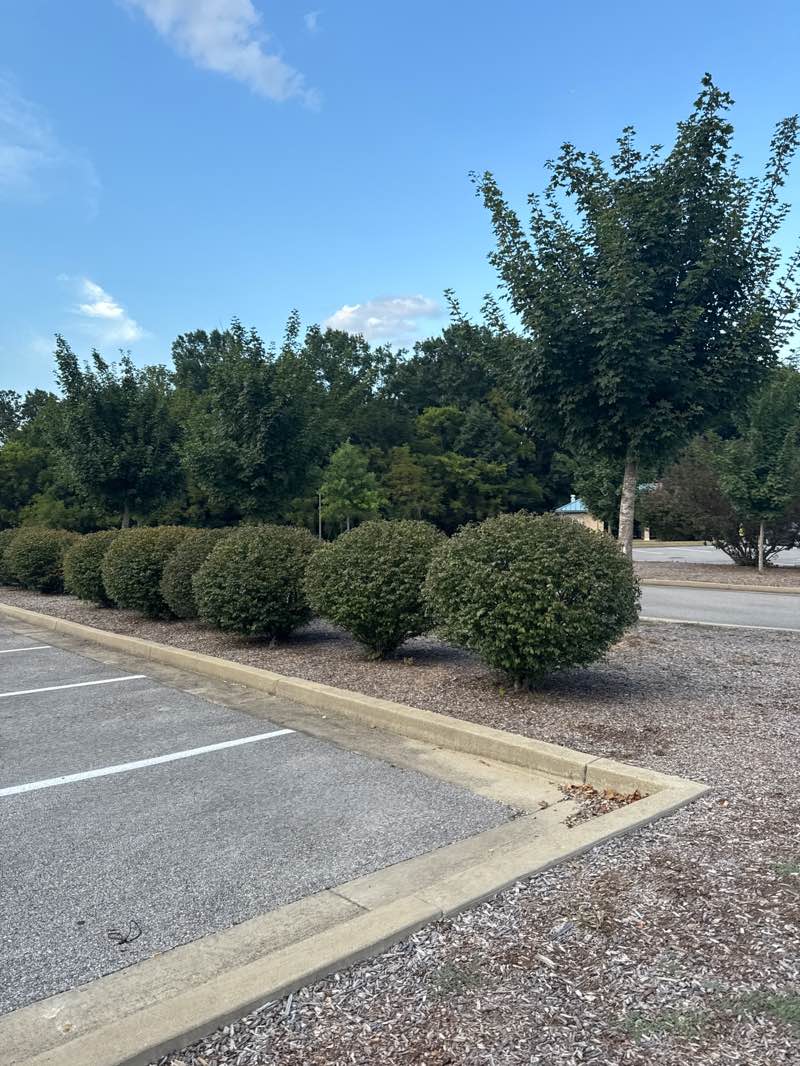 walking near me in Preston S Miller Park in autumn