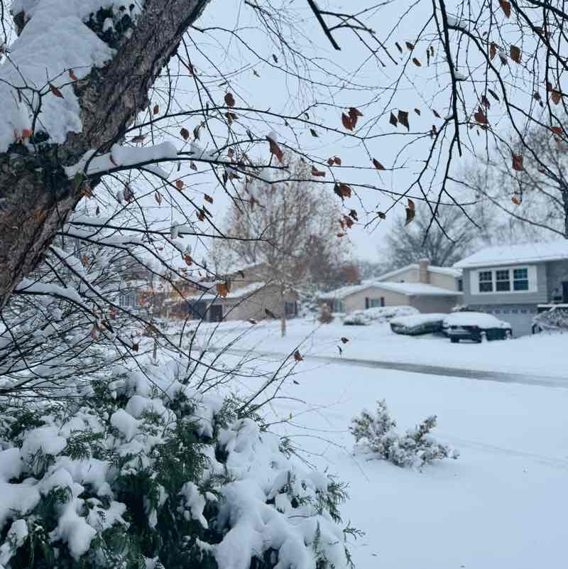 Sole Mates Preet3 post image