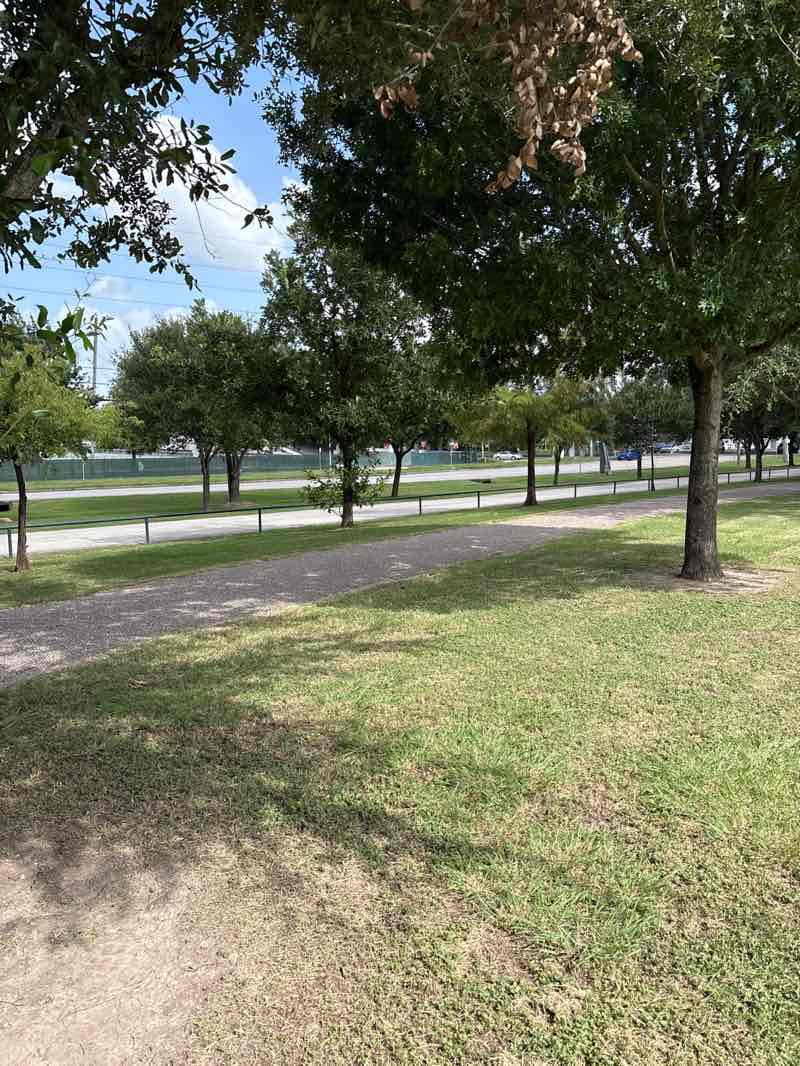 walking near me in Mike Driscoll Park in summer