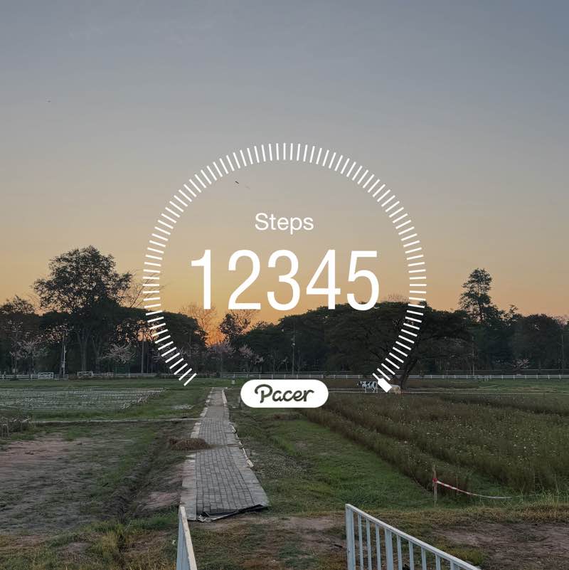 LCC_Club Mayling post image