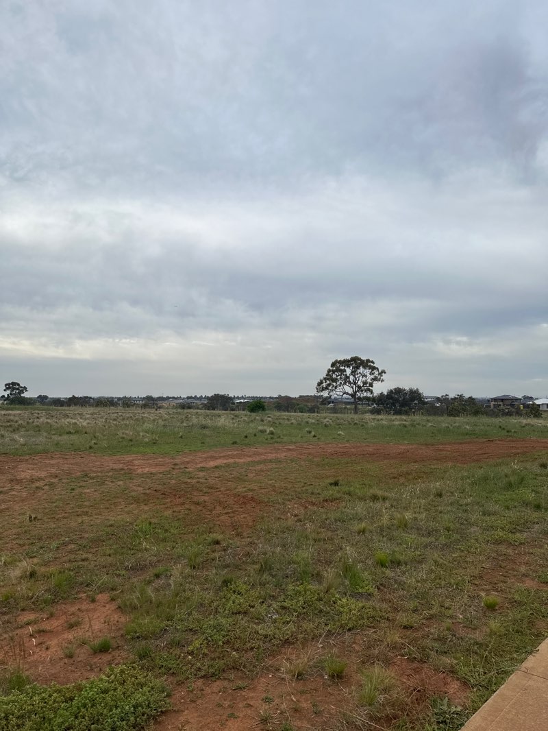 walking near me in Bridge Road Recreation Reserve in spring