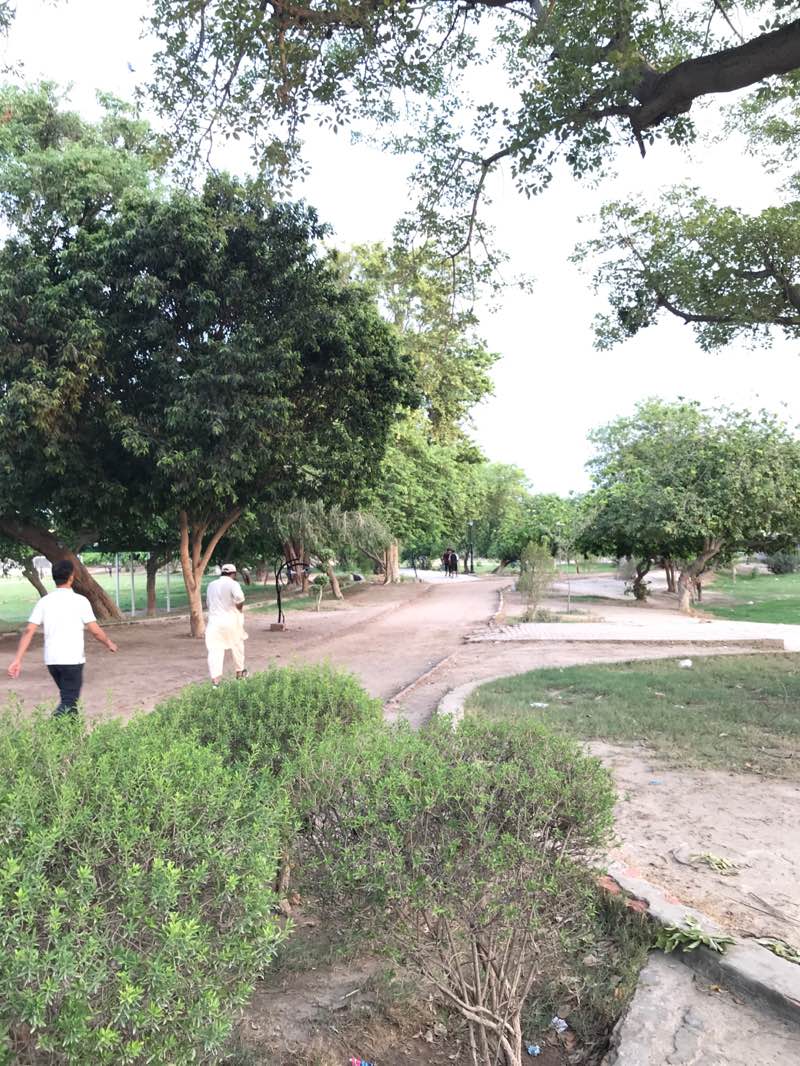 walking near me in Gulzar-e-Sadiq in summer