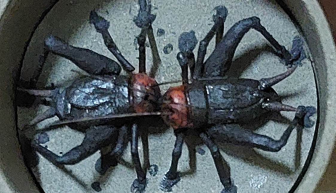 彰化廠/機工一部第二組/1803/楊貴琮