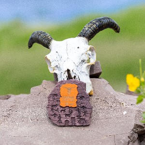 Александр Голубцов profile