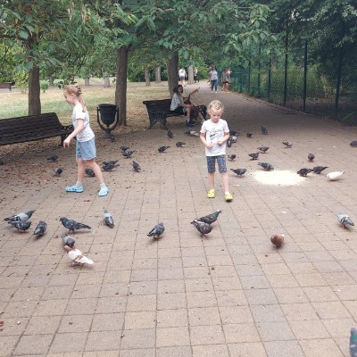 ФК АДМИН И МЕРЧАНТЫ Юлия Сыроешкина post image