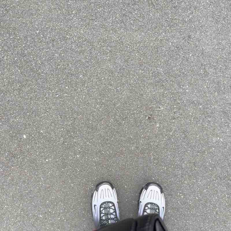 Walking paddy’s Lola post image