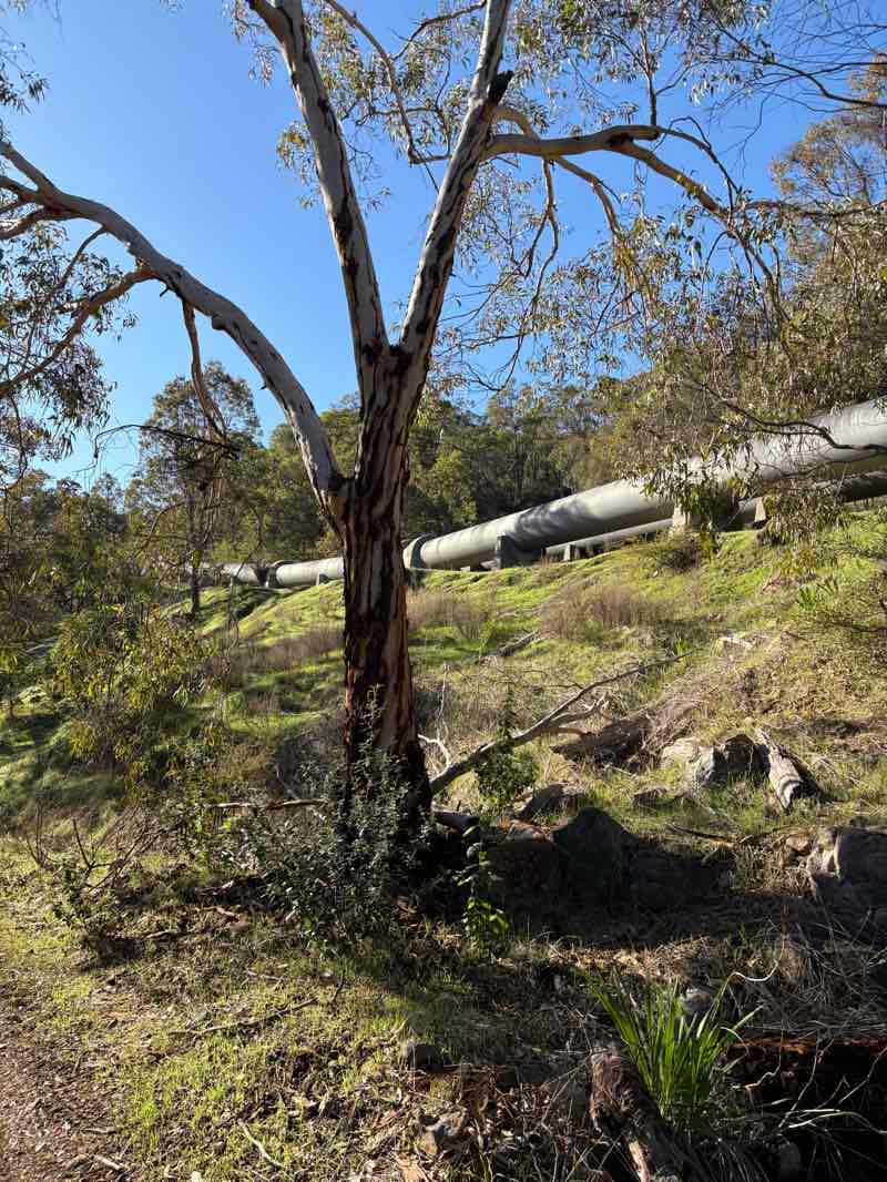 walking near me in Serpentine National Park in spring