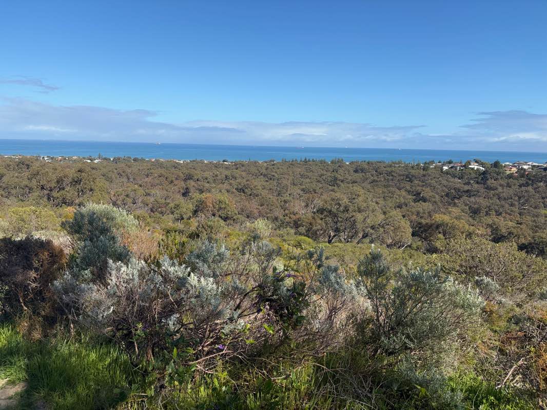 walking near me in Bold Park Botanic Gardens in spring