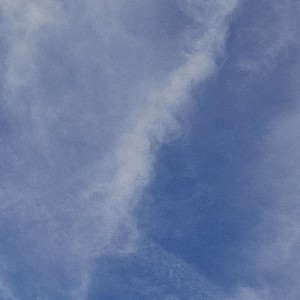 반팀_이은호 profile