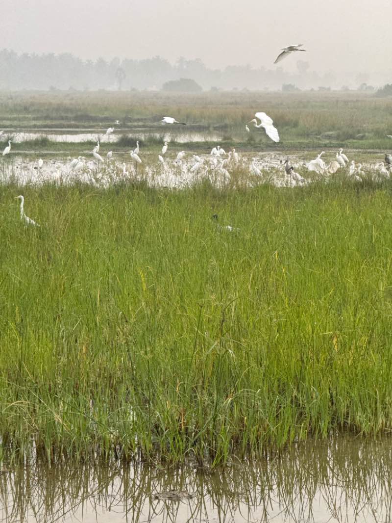 walking near me in Old Park in winter