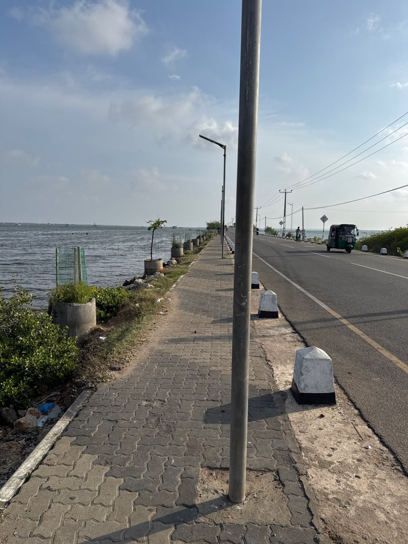 walking near me in Pannai Park in autumn