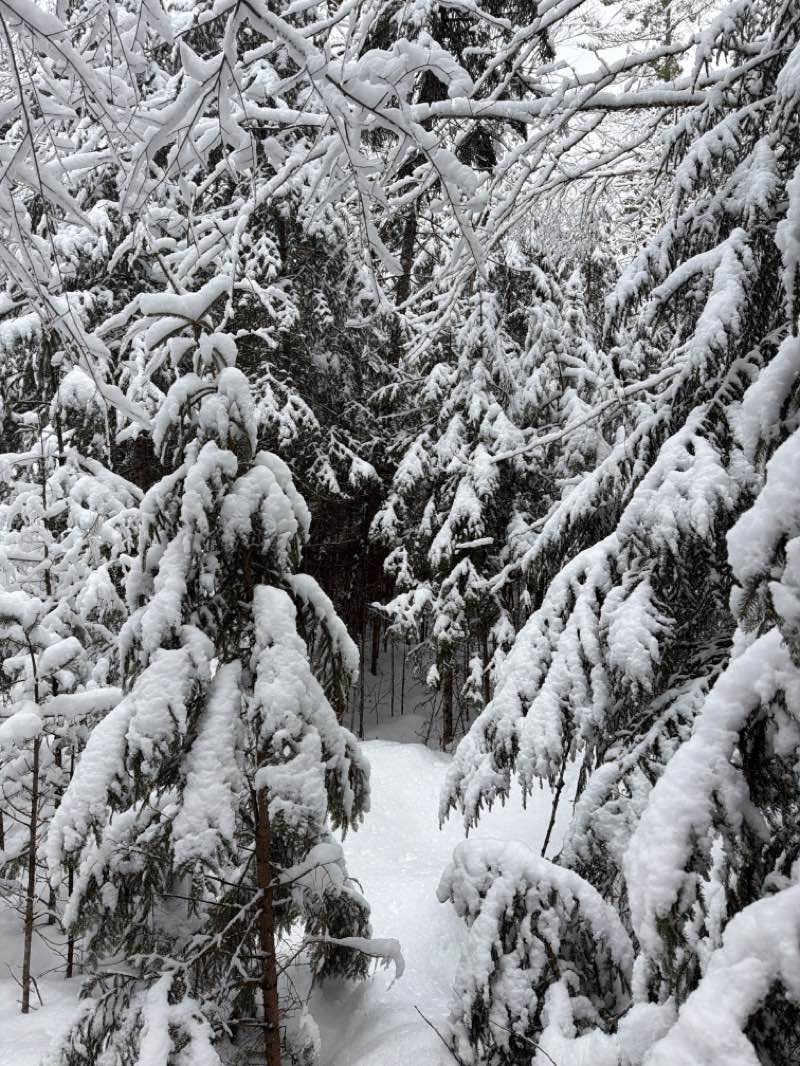 walking near me in Town of Long Lake Municipal Park in winter