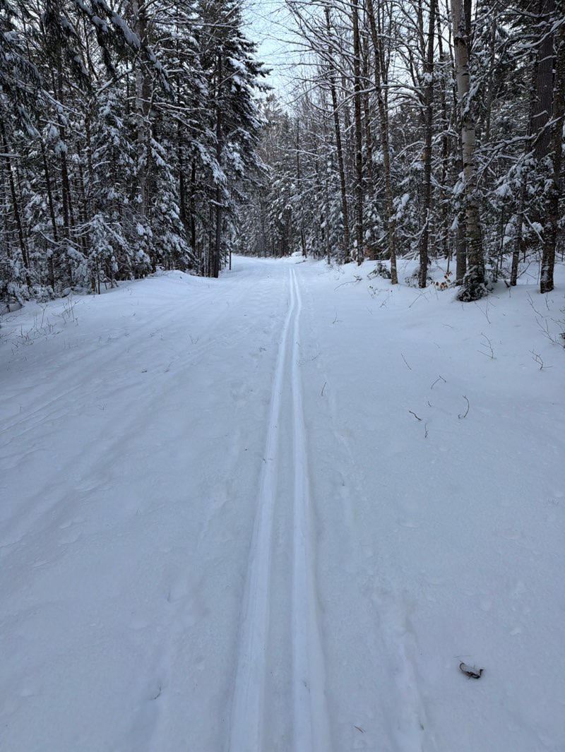 walking near me in Camp Santanoni Historic Area in winter