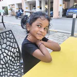 Aneesh profile