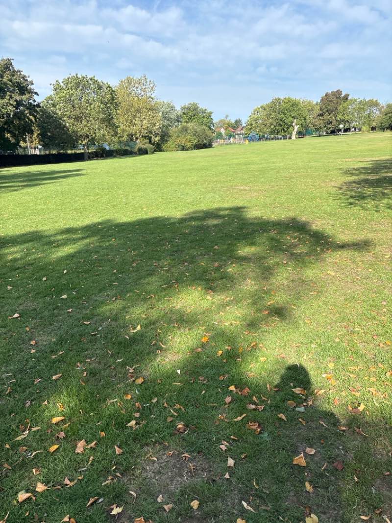 walking near me in Harrow Weald Recreation Ground in autumn