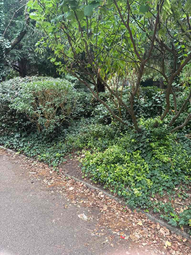 walking near me in Old Courthouse Recreation Ground in autumn