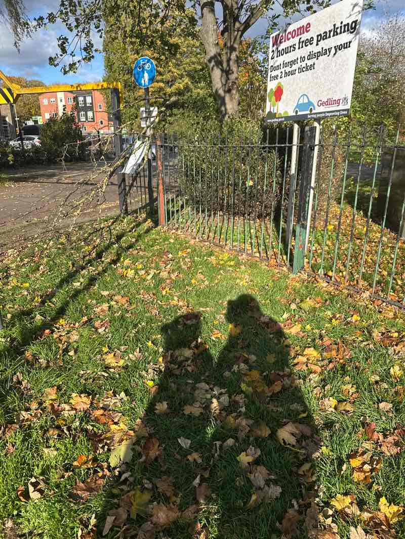 walking near me in Thackerays Lane Recreation Ground in autumn