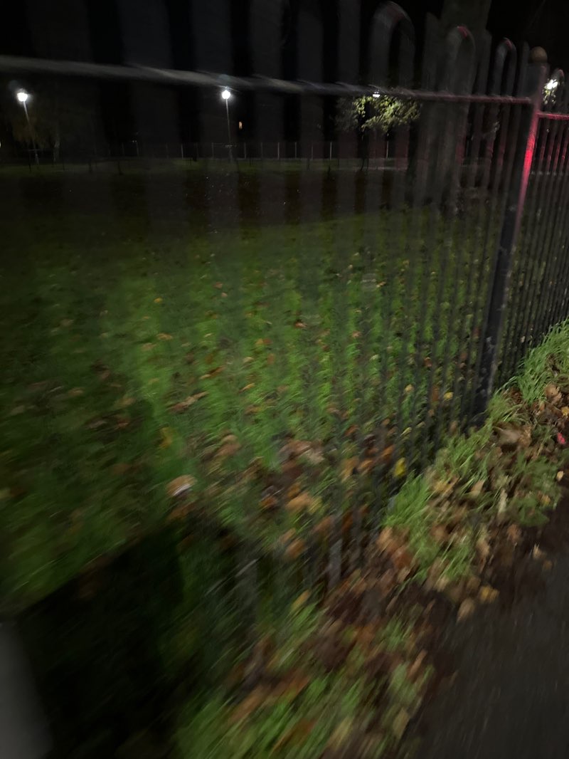 walking near me in Woodthorpe Grange Park in autumn