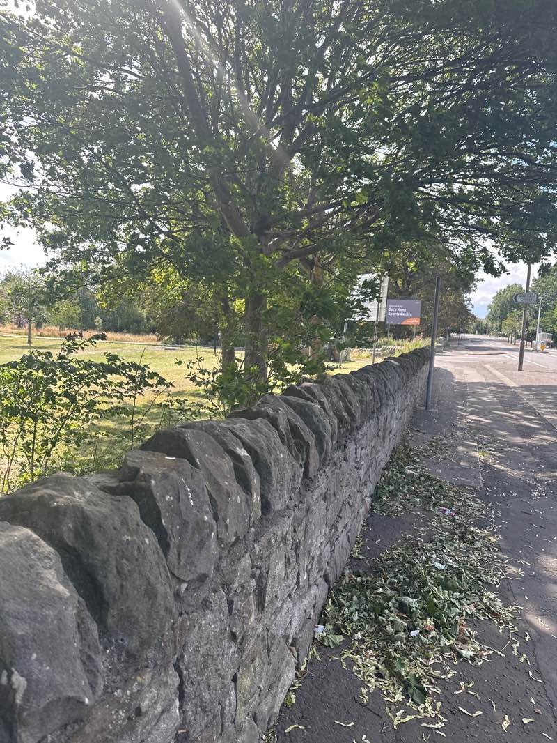 walking near me in Hunters Hall Park in autumn
