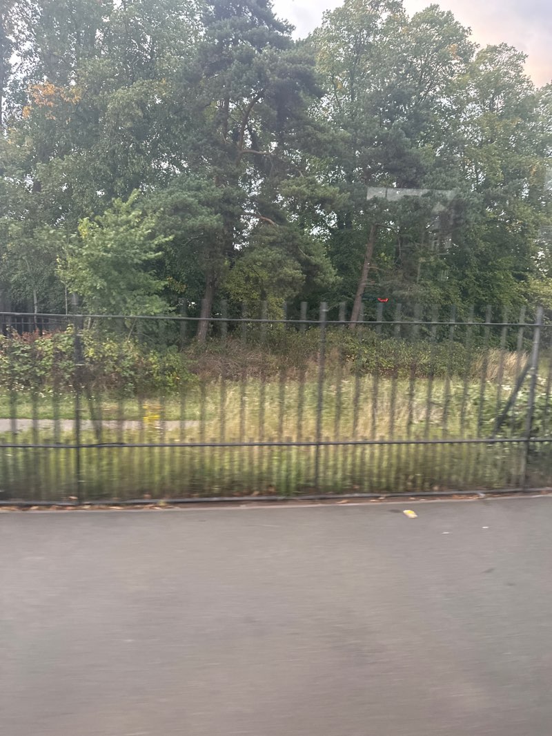 walking near me in Valley Road Park - The Jason Spencer Sports Ground in autumn