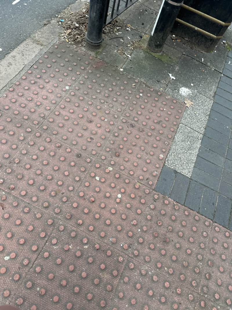 walking near me in St. Mary's Rest Garden in spring